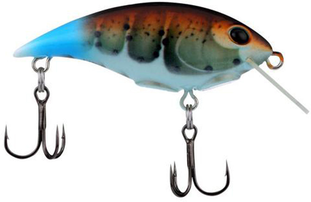 Berkley Shallow Money Badger Crankbait - 1.5 Inch