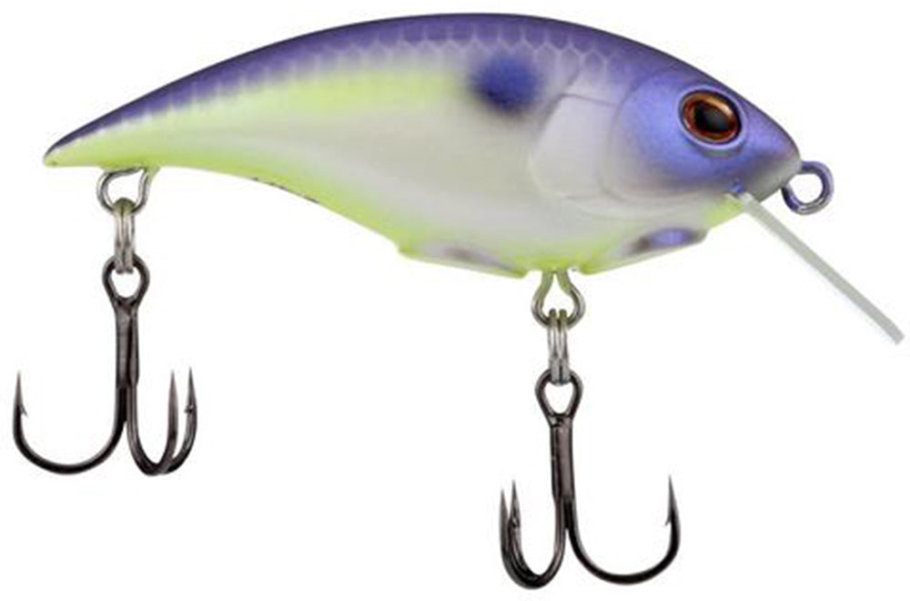 Berkley Shallow Money Badger Crankbait - 2.5 Inch