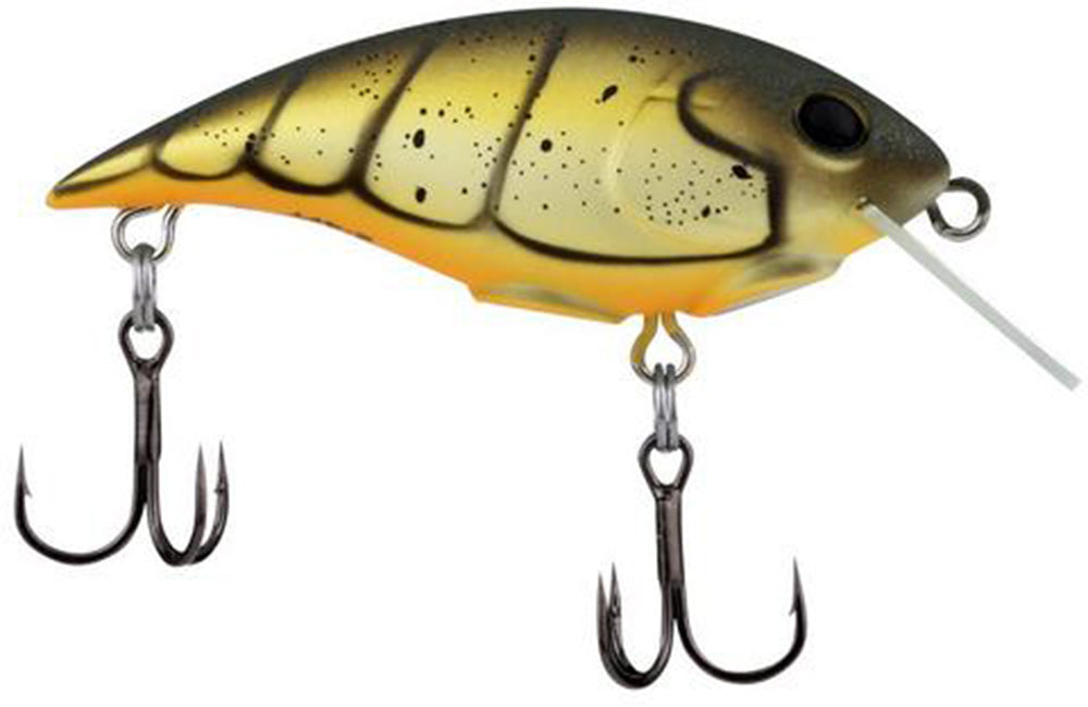 Berkley Shallow Money Badger Crankbait - 2.5 Inch