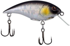 Berkley Shallow Money Badger Crankbait - 2.6 Inch