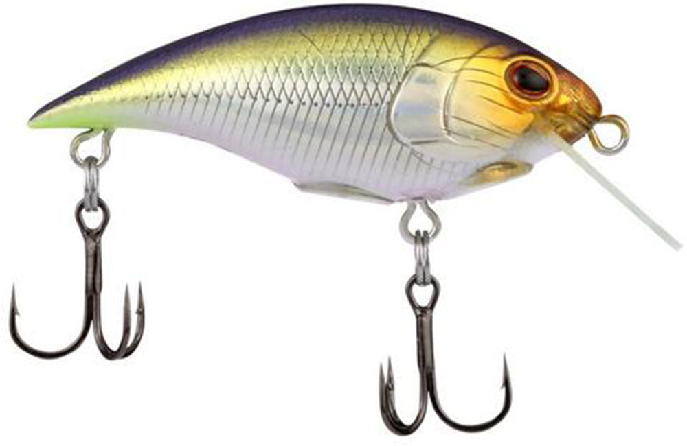 Berkley Shallow Money Badger Crankbait - 2.6 Inch