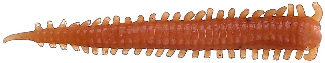 Berkley Gulp! 2 inch Scented Saltwater Plastic Sandworm 24 pack
